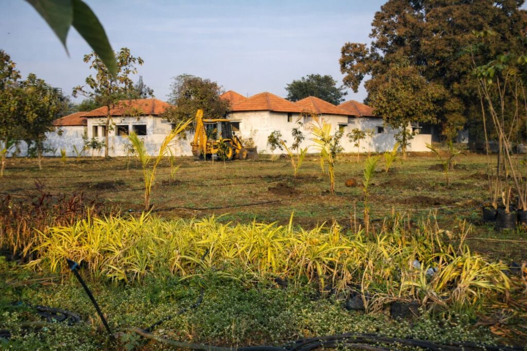 whatsapp image 2026 02 11 at 11.21.47 am (2)